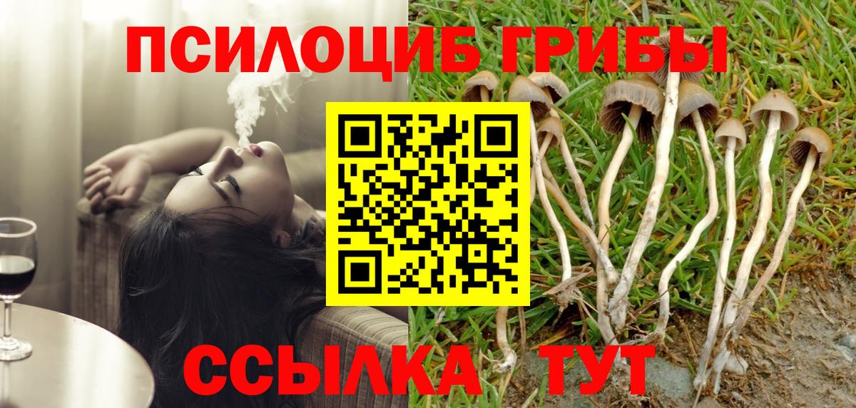 Галлюциногенные грибы ЛСД  Вход с VPN  Псилоцибиновые грибы мицелий  купить наркотики цена  Ртищево 